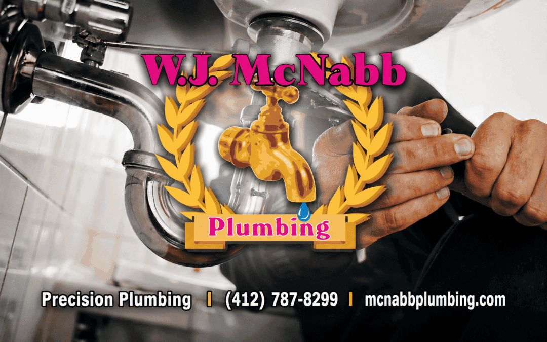 Maintenance Plans for Precise Plumbing: Keep Your Pittsburgh Home Running Smoothly