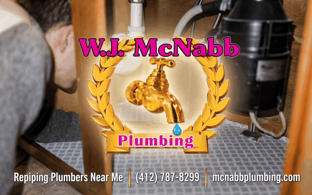 Looking for Repipe Specialists? Pittsburgh Top-Rated Services for Your Home